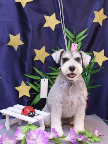 20230714むぎちゃん